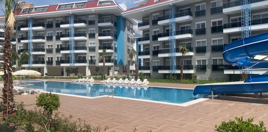 Daire Kestel, Antalya, Türkiye №164859