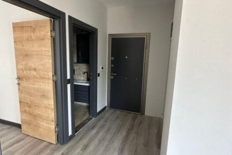 Продажа квартиры в Оба, Анталье, Турция 2 комн., 50м2, №164856 – фото 13