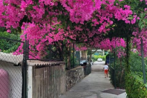 آپارتمان در  Avsallar ، ترکیه 57 متر مربع.  شماره 169064 - 3