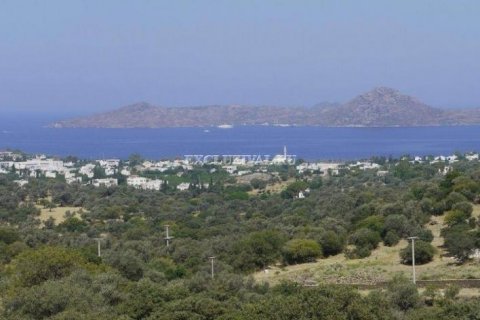 7+3 Villa  i Bodrum, Mugla, Tyrkia Nr. 178854 - 11