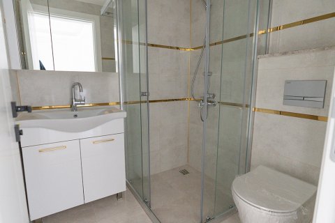 1+1 Lägenhet i Gazipasa, Antalya, Turkiet Nr. 166027 - 12