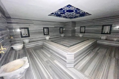 Daire Kestel, Antalya, Türkiye №163276 - 24