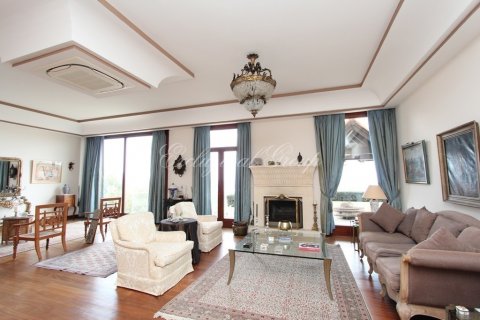 7+3 Villa  in Bodrum, Mugla, Turkey No. 179070