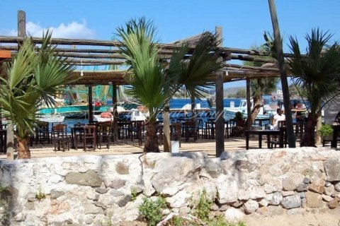 2+1 Lägenhet i Bodrum, Mugla, Turkiet Nr. 179028 - 14