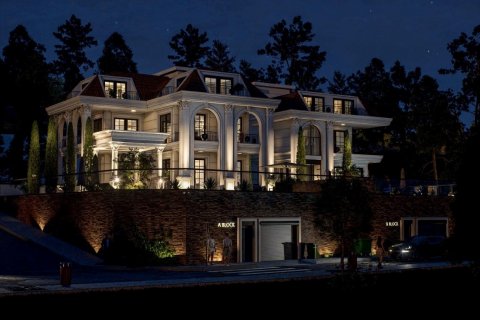 ویلا در Alanya ، ترکیه 395 متر مربع. شماره 206665 - 17