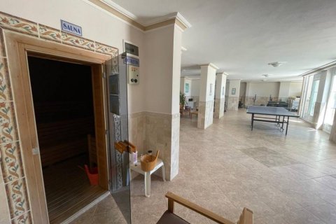 آپارتمان در Alanya ، ترکیه 220 متر مربع. شماره 168351 - 25