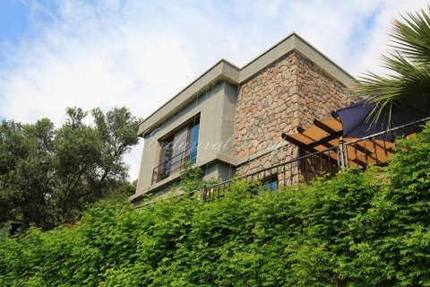 Villa for sale  in Bodrum, Mugla, Turkey, 4 bedrooms, 200m2, No. 178611 – photo 8