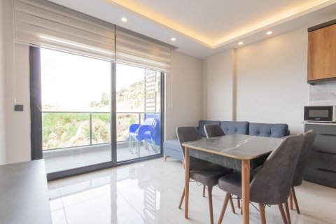 1+1 Wohnung in Alanya, Antalya, Türkei Nr. 181015 - 21