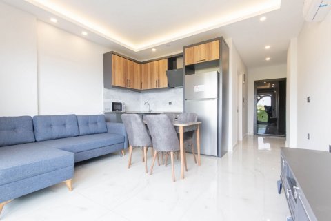 1+1 Wohnung in Alanya, Antalya, Türkei Nr. 181015 - 20
