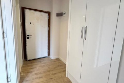 Продажа квартиры  в Кестеле, Анталье, Турция 2 комн., 55м2, №167235 – фото 18