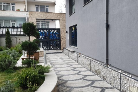 4+1 Lägenhet i Istanbul, istanbul, Turkiet Nr. 173589 - 2