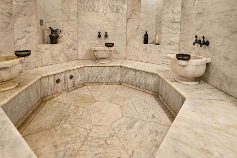 13+7 Villa i Bodrum, Mugla, Turkiet Nr. 188540 - 22