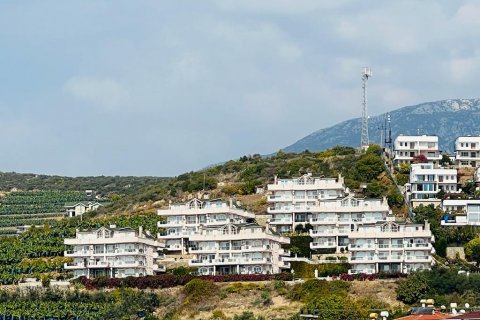 آپارتمان در Demirtas، Alanya ، ترکیه 245 متر مربع. شماره 165434 - 2