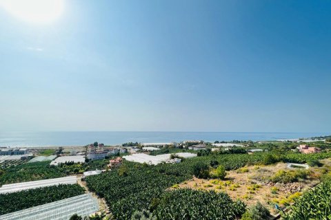 آپارتمان در Demirtas، Alanya ، ترکیه 245 متر مربع. شماره 165434 - 30