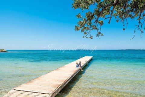 3+1 Lägenhet  i Didim, Aydin, Turkiet Nr. 178561 - 27