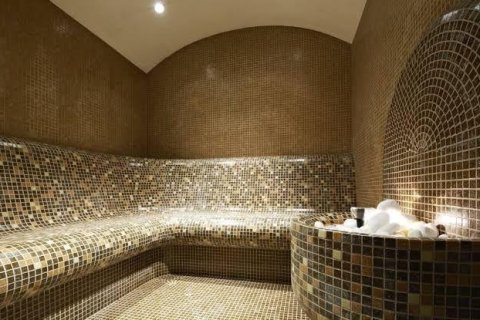 پنت هاس در  Alanya ، ترکیه 6 خوابه ، 319 متر مربع.  شماره 169267 - 8