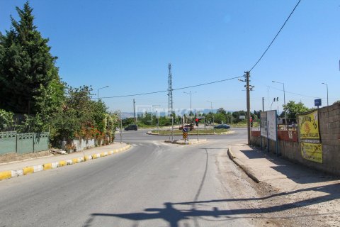 Næringseiendom i Altinova, Yalova, Tyrkia Nr. 192468 - 3