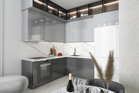 1+1 Lejlighed  i Alanya, Antalya, Tyrkiet Nr. 182076 - 29