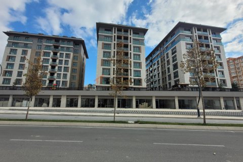 2+1 Lägenhet  i Beylikduezue, istanbul, Turkiet Nr. 193110 - 3