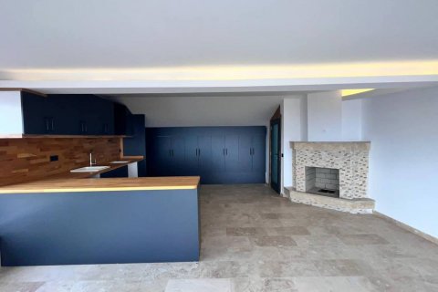 3+1 Villa  i Alanya, Antalya, Turkiet Nr. 172336 - 8