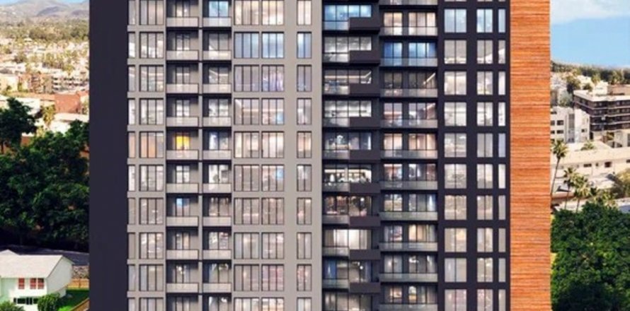 3+1 Leilighet i Istanbul, Tyrkia Nr. 173039