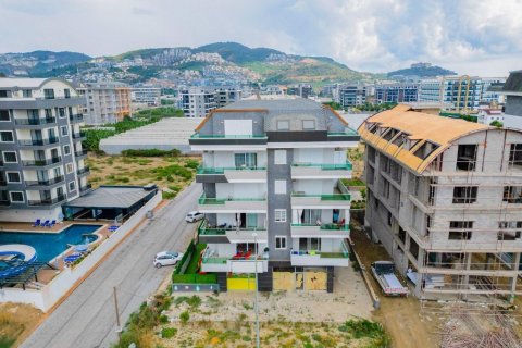 Gewerbeimmobilien  in Kargicak, Alanya, Antalya, Türkei Nr. 165412