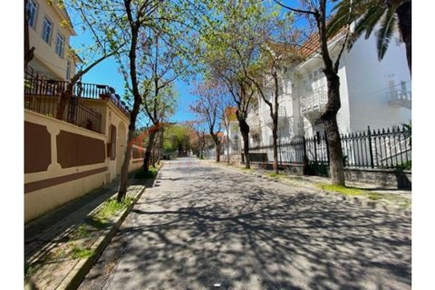12+5 Villa in Adalar, Istanbul, Türkei Nr. 175992 - 6