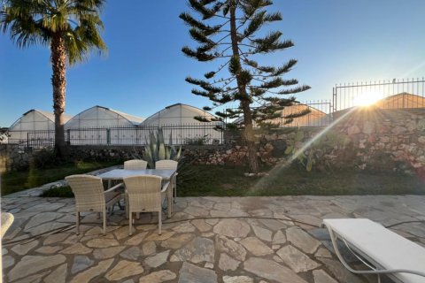 Villa in Konakli, Antalya, Türkei Nr. 162481 - 11