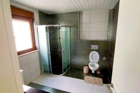 آپارتمان در Kargicak،  Alanya ، ترکیه 460 متر مربع.  شماره 166295 - 9