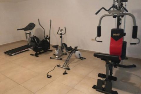 Wohnung in Mahmutlar, Antalya, Türkei Nr. 163005 - 4