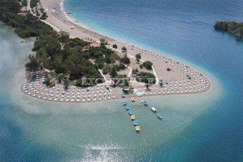 Коммерческая недвижимость  66000м2 в Дидиме, Айдын, Турция №182463