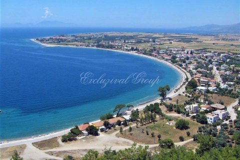 Land plot  in Bodrum, Mugla, Turkey No. 179251