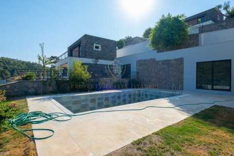 Villa for sale  in Bodrum, Mugla, Turkey, 5 bedrooms, 260m2, No. 171542 – photo 18