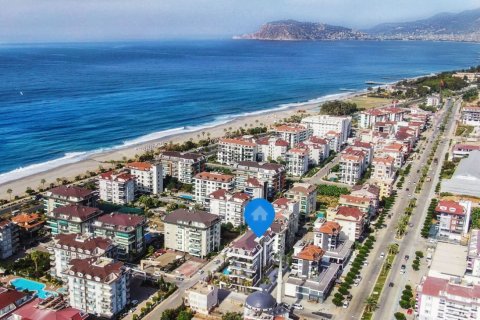 1+1 Wohnung  in Kestel, Antalya, Türkei Nr. 192813 - 4