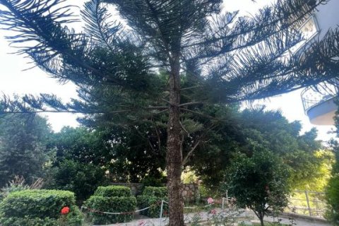 Lägenhet i Mahmutlar, Antalya, Turkiet Nr. 165015 - 30