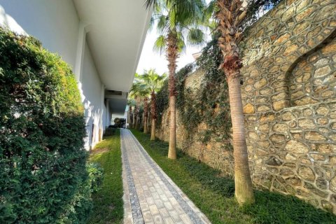 Lägenhet i Kargicak, Alanya, Antalya, Turkiet Nr. 165017 - 19