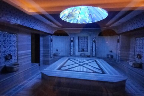 1+1 Wohnung in Alanya, Antalya, Türkei Nr. 183839 - 9