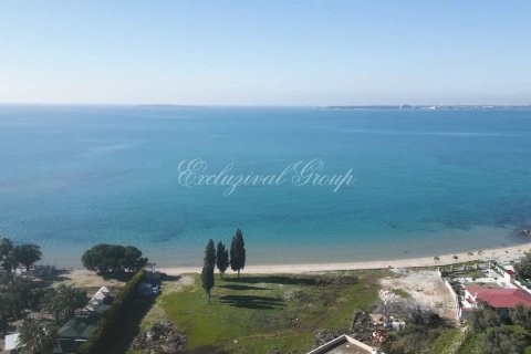 3+1 Villa in Didim, Aydin, Türkei Nr. 183842 - 6