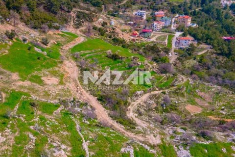 آپارتمان در Alanya ، ترکیه 1000 متر مربع. شماره 189771 - 16