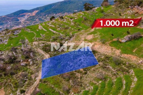 آپارتمان در Alanya ، ترکیه 1000 متر مربع. شماره 189771 - 5