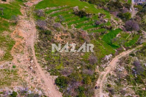 آپارتمان در Alanya ، ترکیه 1000 متر مربع. شماره 189771 - 14