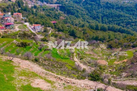 آپارتمان در Alanya ، ترکیه 1000 متر مربع. شماره 189771 - 18