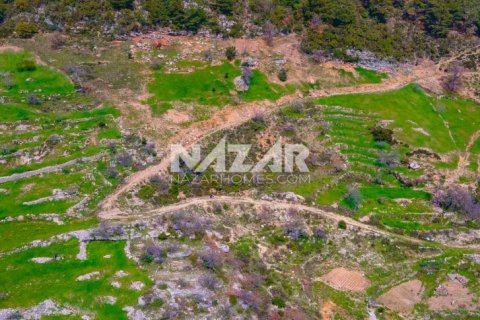 آپارتمان در Alanya ، ترکیه 1000 متر مربع. شماره 189771 - 17