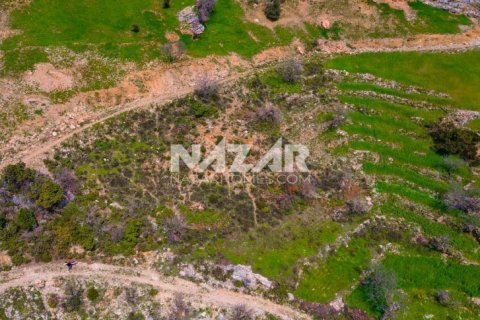 آپارتمان در Alanya ، ترکیه 1000 متر مربع. شماره 189771 - 19