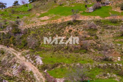 آپارتمان در Alanya ، ترکیه 1000 متر مربع. شماره 189771 - 10
