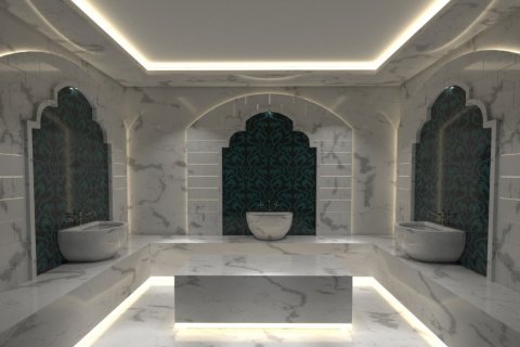 1+1 Wohnung  in Alanya, Antalya, Türkei Nr. 179581 - 15