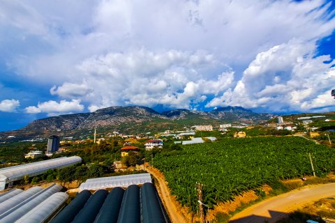 2+1 Lejlighed i Alanya, Antalya, Tyrkiet Nr. 185872 - 11