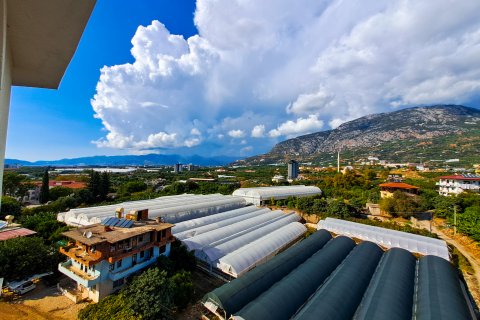 2+1 Lejlighed i Alanya, Antalya, Tyrkiet Nr. 185872 - 12