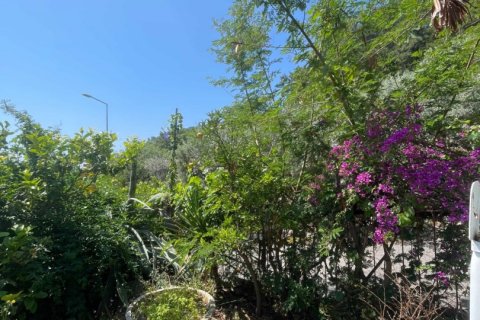 2+1 Lägenhet i Alanya, Antalya, Turkiet Nr. 190426 - 5