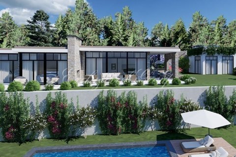 3+1 Villa  in Bodrum, Mugla, Turkey No. 179276